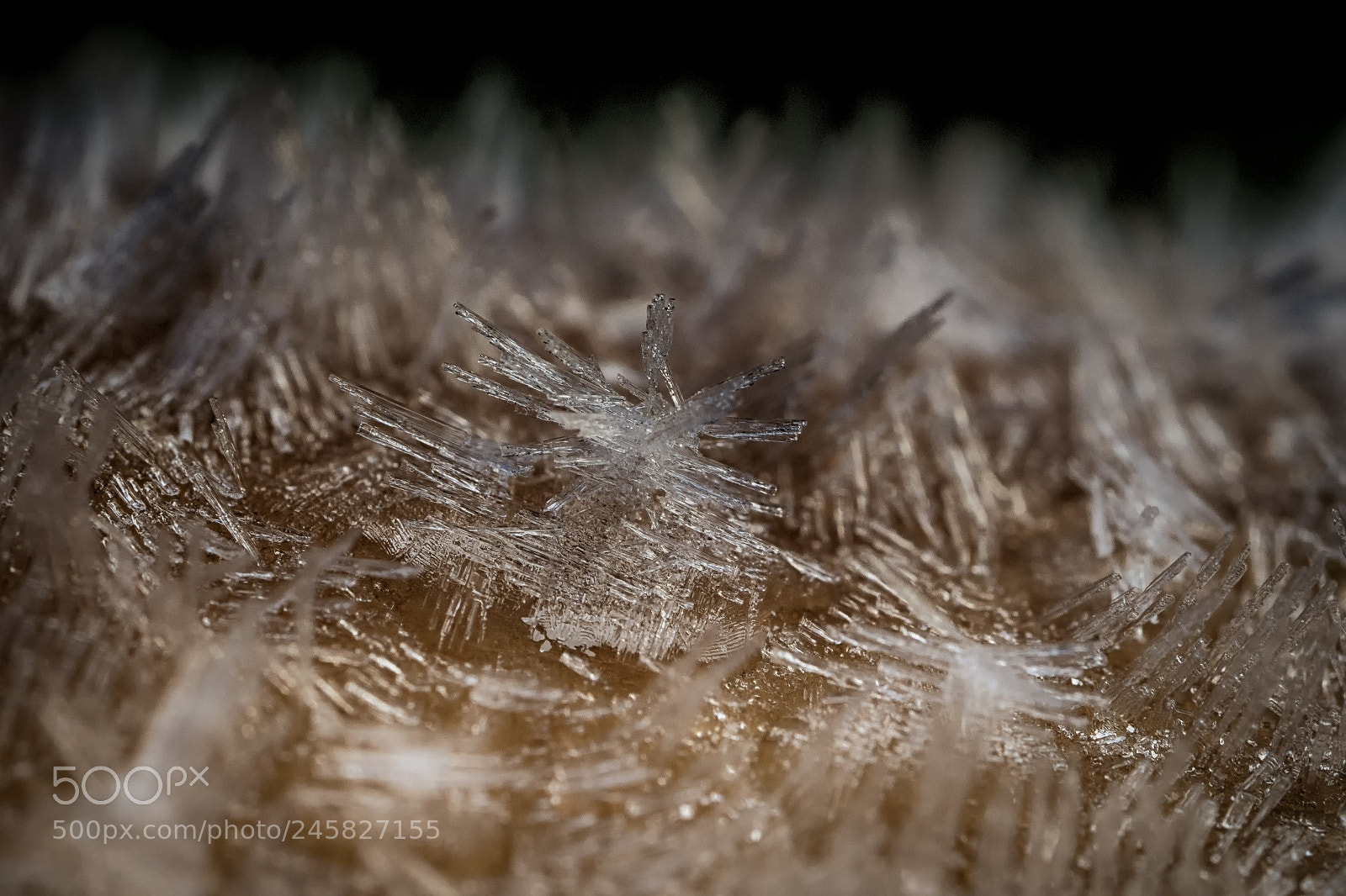 Olympus OM-D E-M10 II sample photo. Ice crystal photography