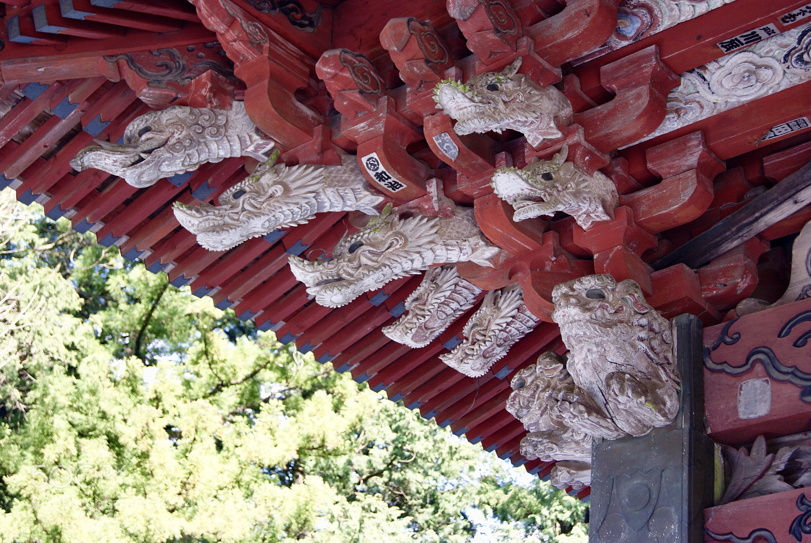 Sony Alpha DSLR-A330 sample photo. 北口本宮富士浅間神社の水舎の木鼻 photography