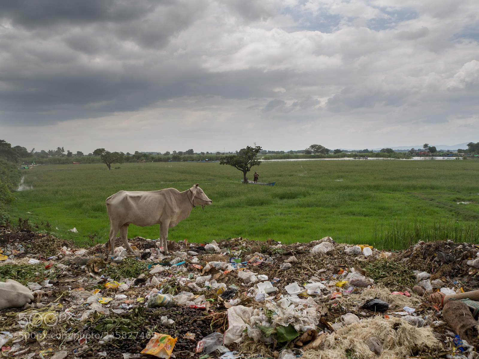 Olympus OM-D E-M10 sample photo. Myanmar contrast photography