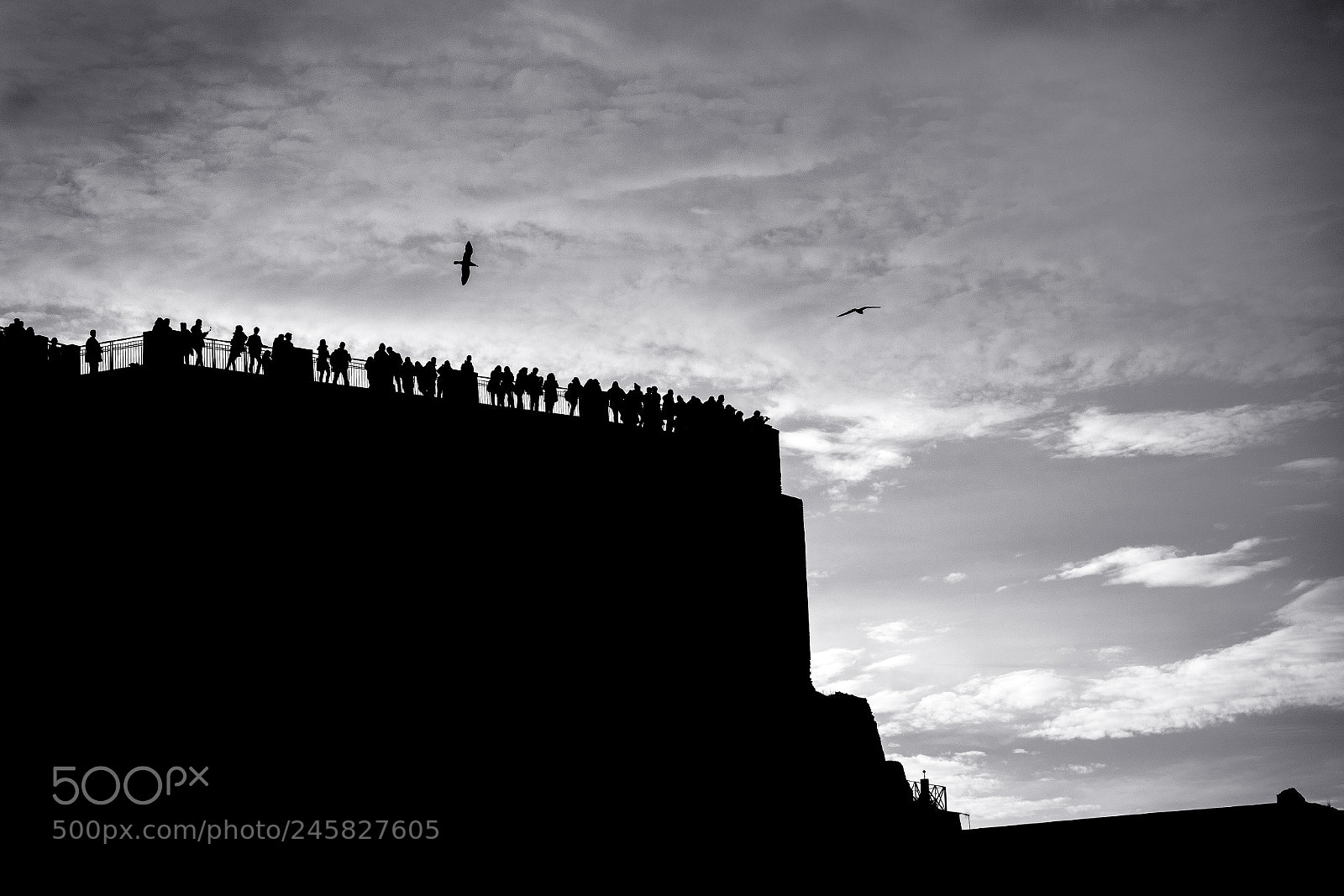 Nikon D610 sample photo. Affaccio sui fori imperiali photography