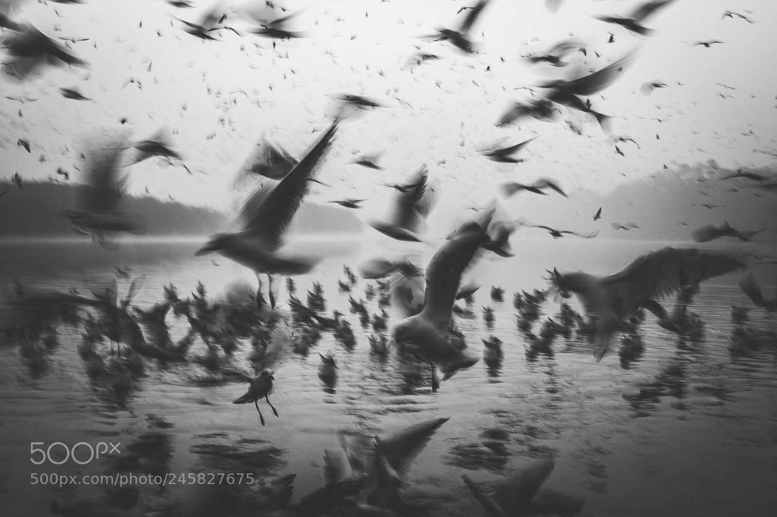 Canon EOS 60D sample photo. Yamuna ghat photography