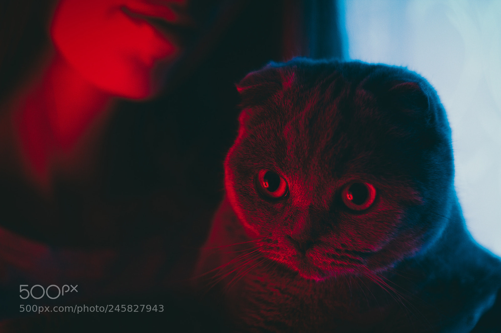 Canon EOS 60D sample photo. Blu/red evening photography