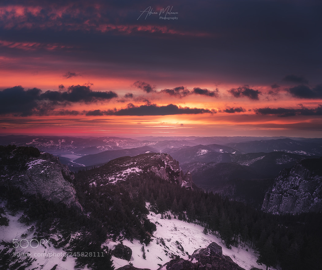 Sony a7R II sample photo. Red sunrise! photography