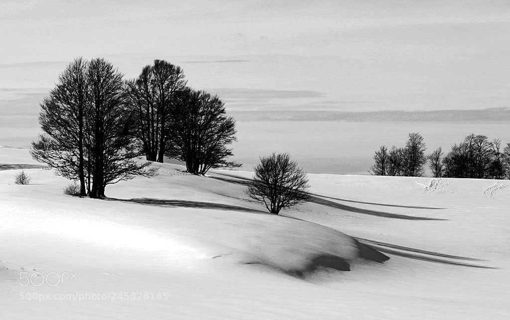 Sony ILCA-77M2 sample photo. Snowy landscape photography