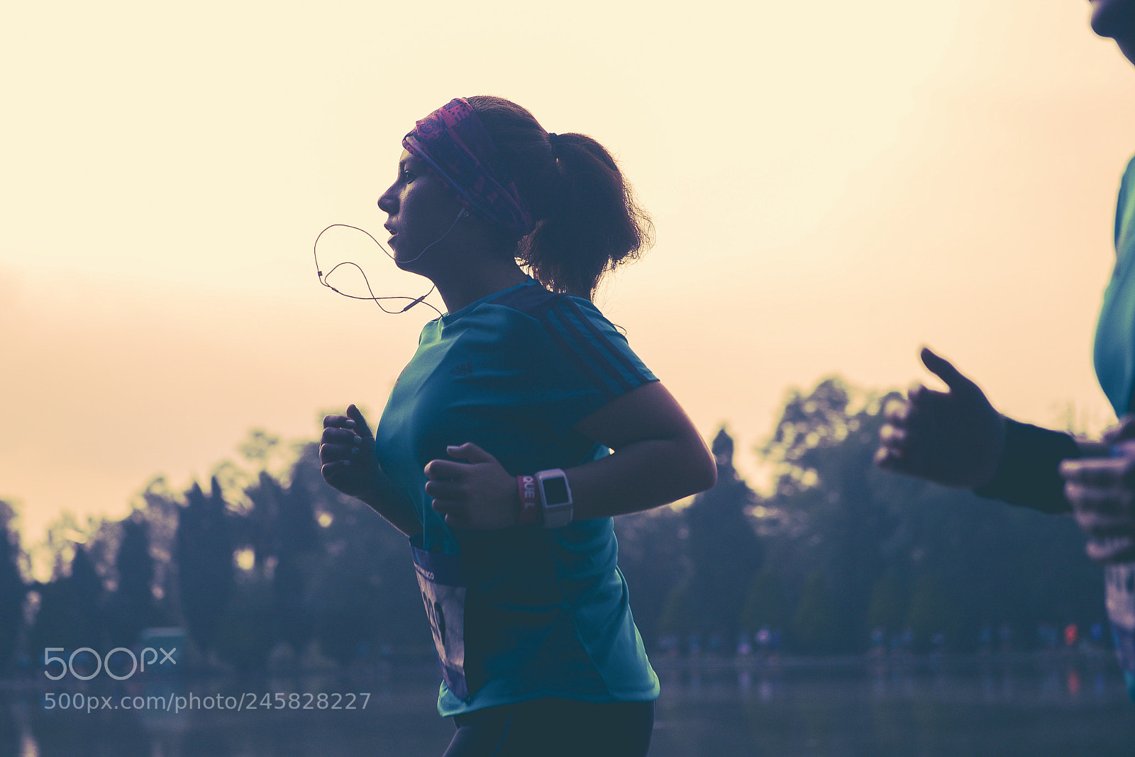 Nikon D800 sample photo. 37942840821.jpg photography