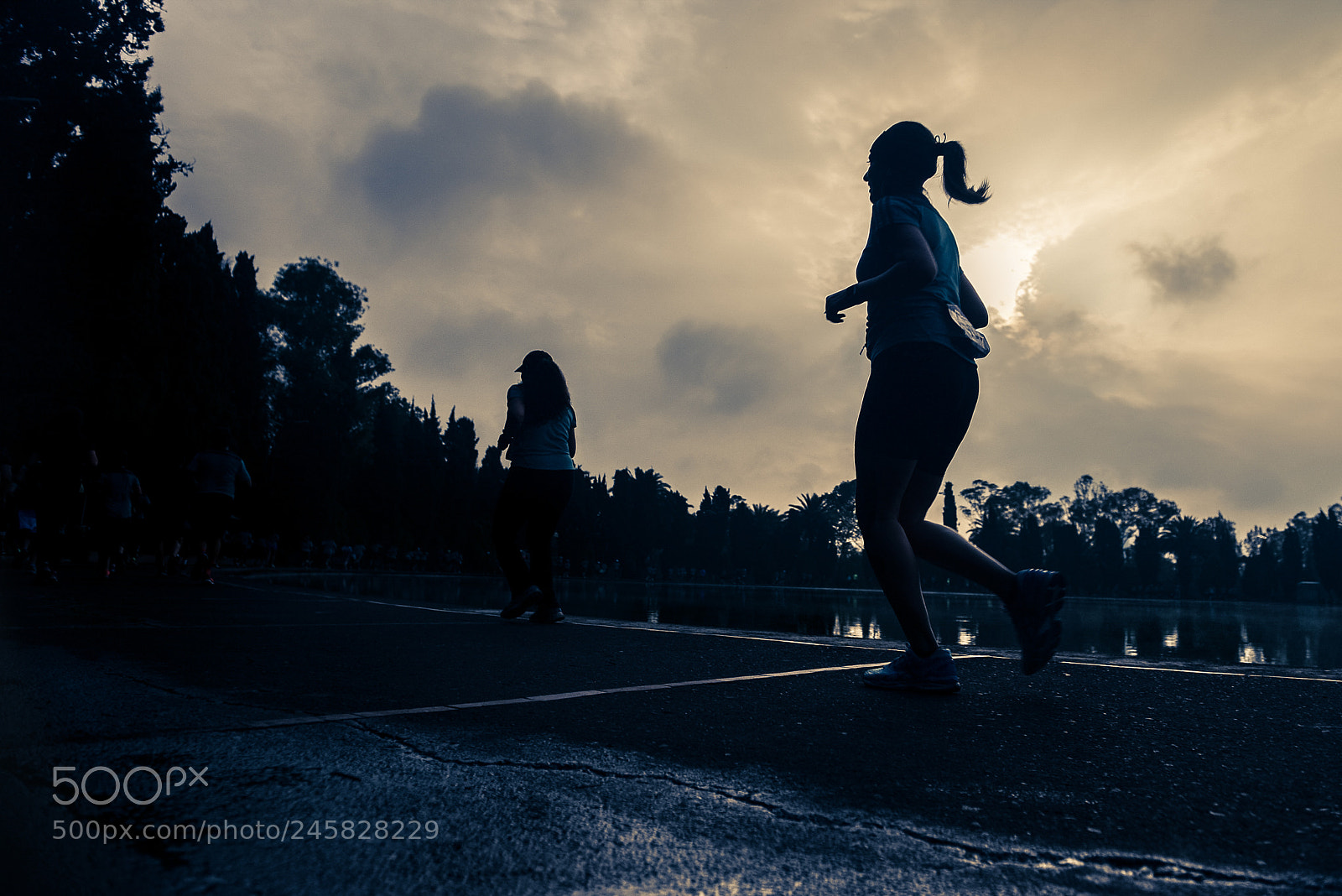 Nikon D800 sample photo. 24091589618.jpg photography