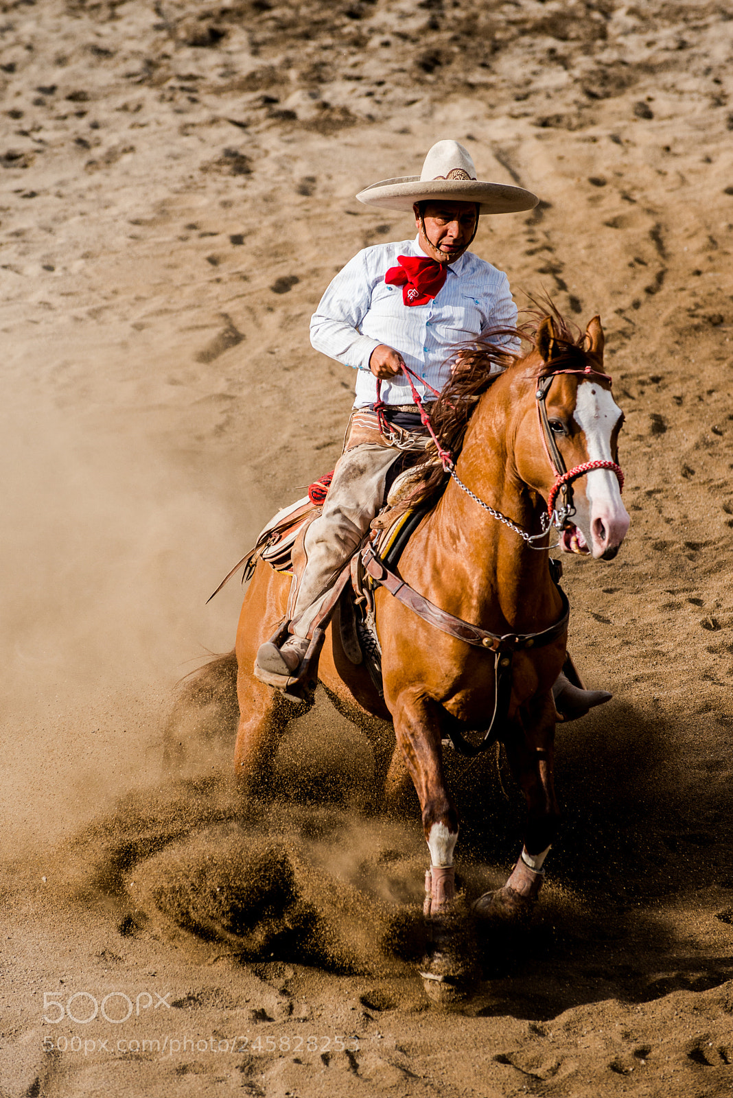 Nikon D800 sample photo. 34491647345.jpg photography