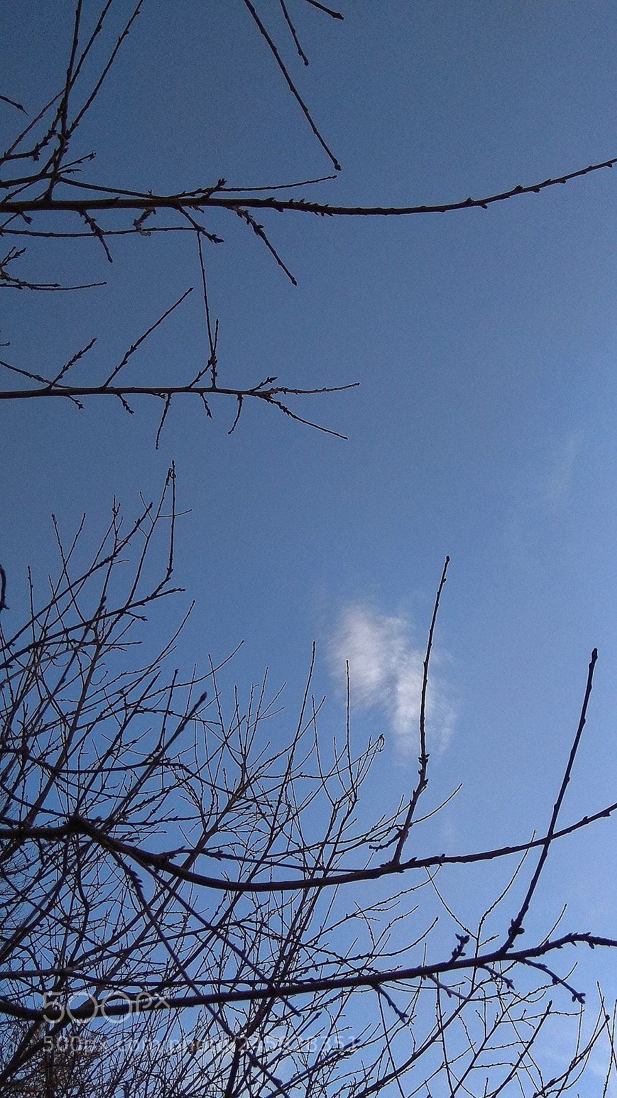 Xiaomi Redmi Note 4X sample photo. Untitled photography