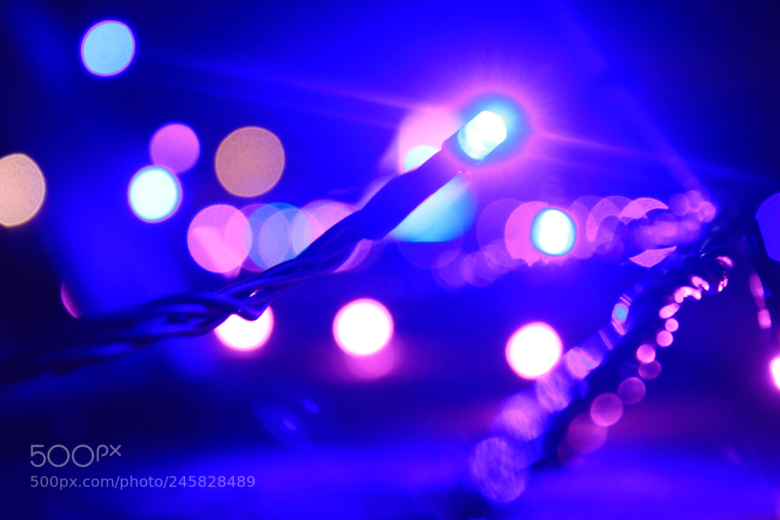 Canon EOS 700D (EOS Rebel T5i / EOS Kiss X7i) sample photo. String lights. photography