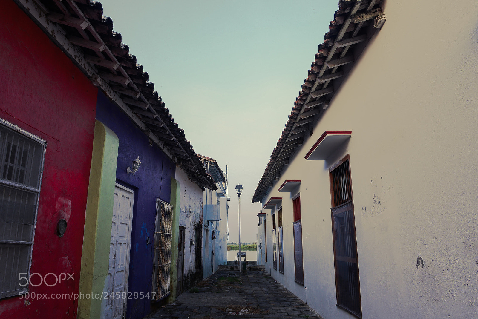 Nikon D800 sample photo. 27948740346.jpg photography