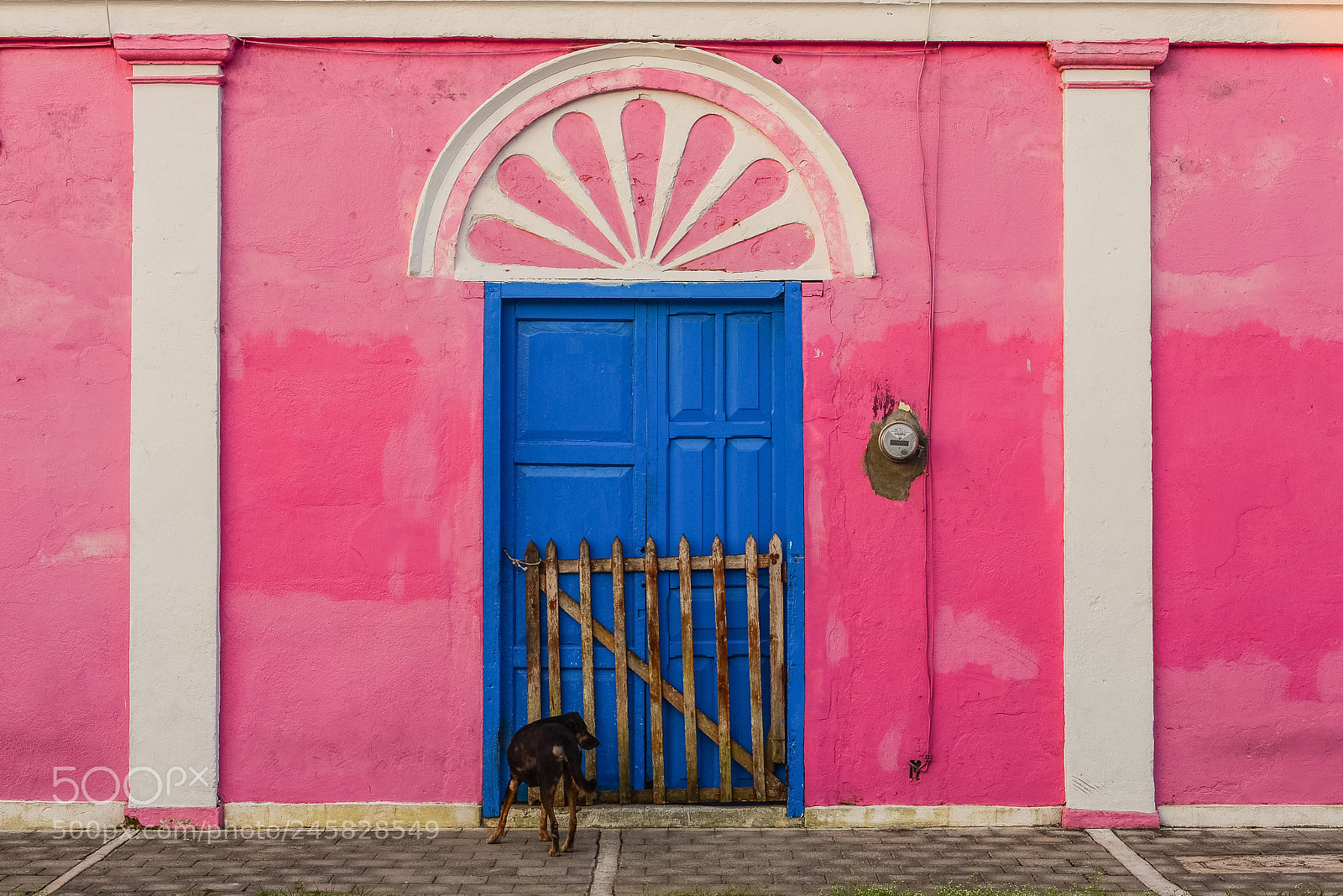Nikon D800 sample photo. Puertas de tlacotalpan photography