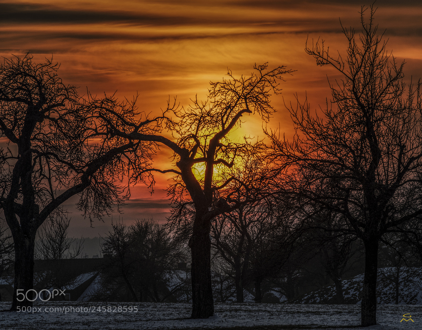 Nikon D500 sample photo. The sun we need photography