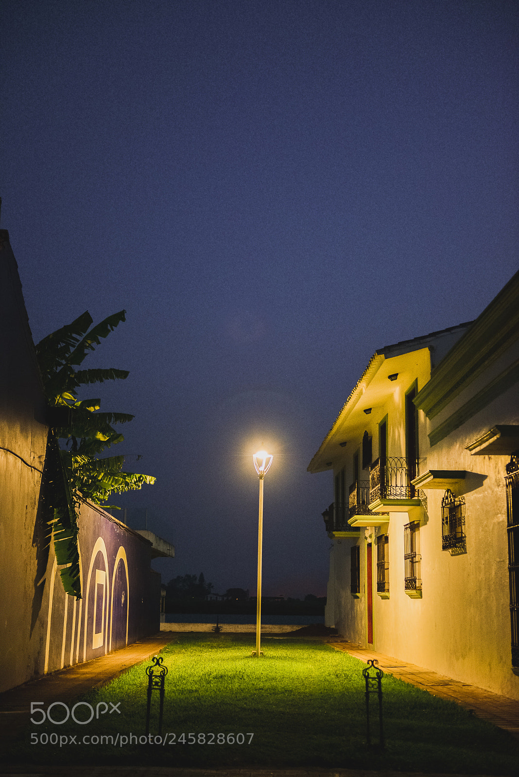 Nikon D800 sample photo. 27276691794.jpg photography