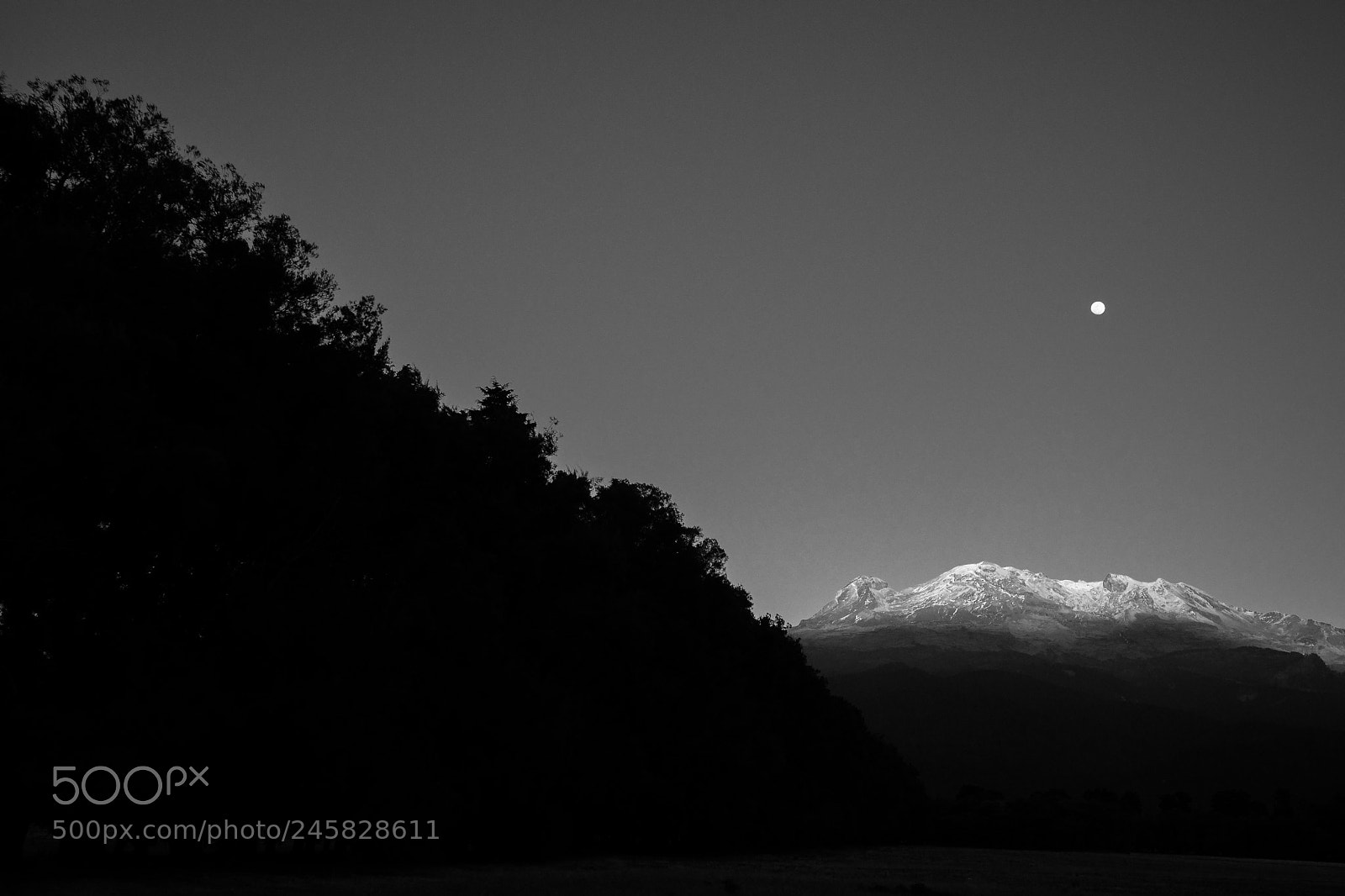 Nikon D800 sample photo. 25335671490.jpg photography
