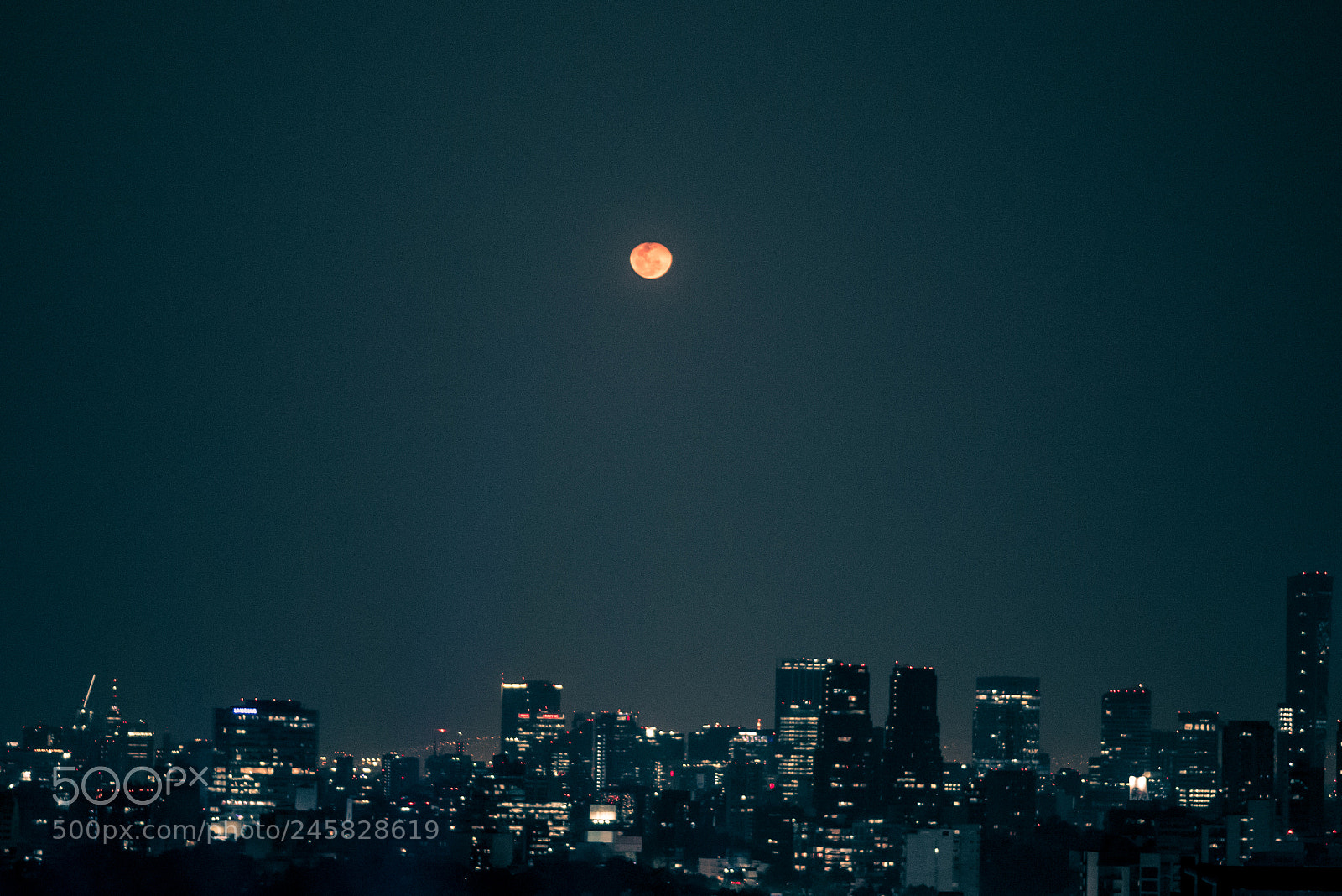 Nikon D800 sample photo. 24972217800.jpg photography