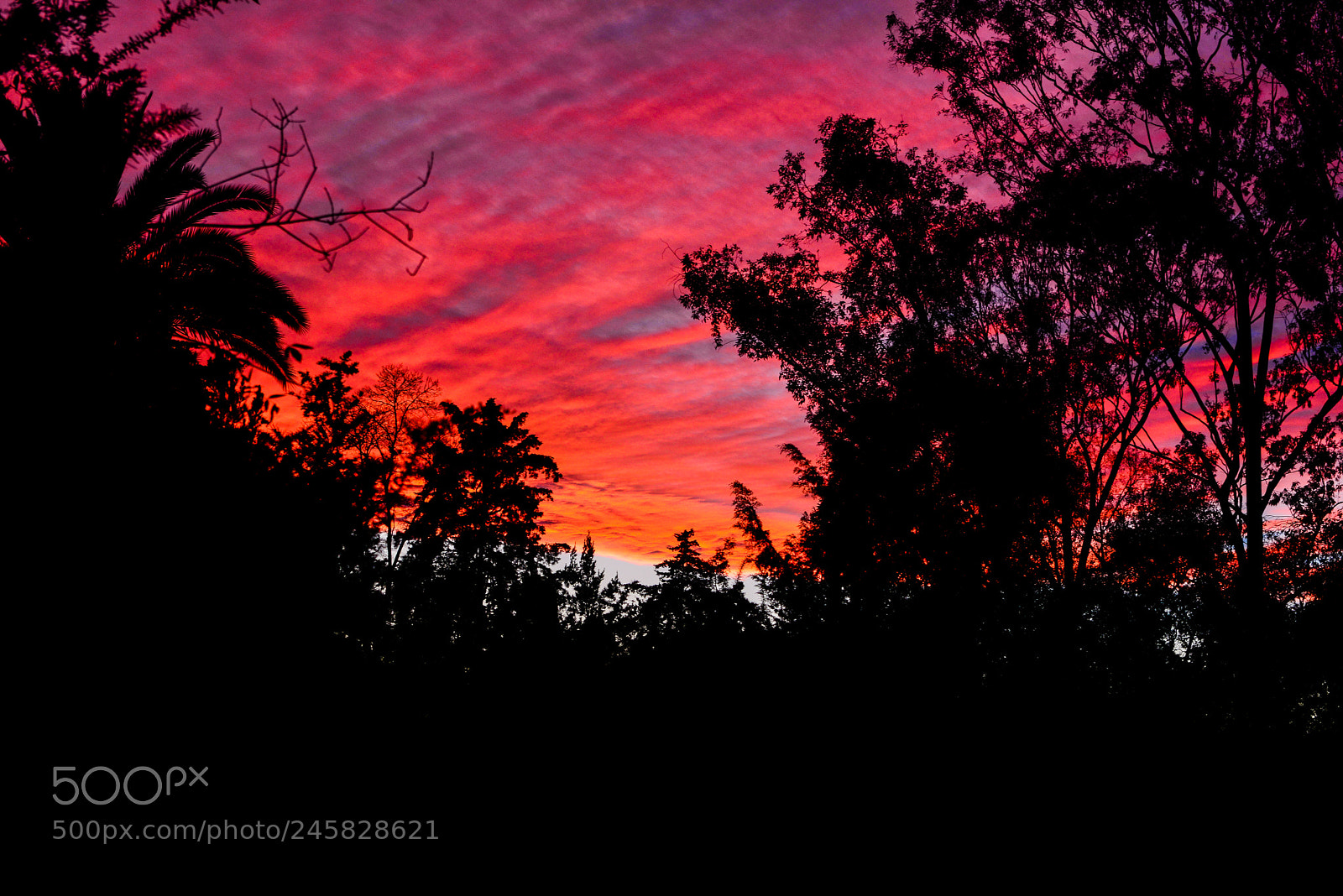 Nikon D800 sample photo. 24407554555.jpg photography
