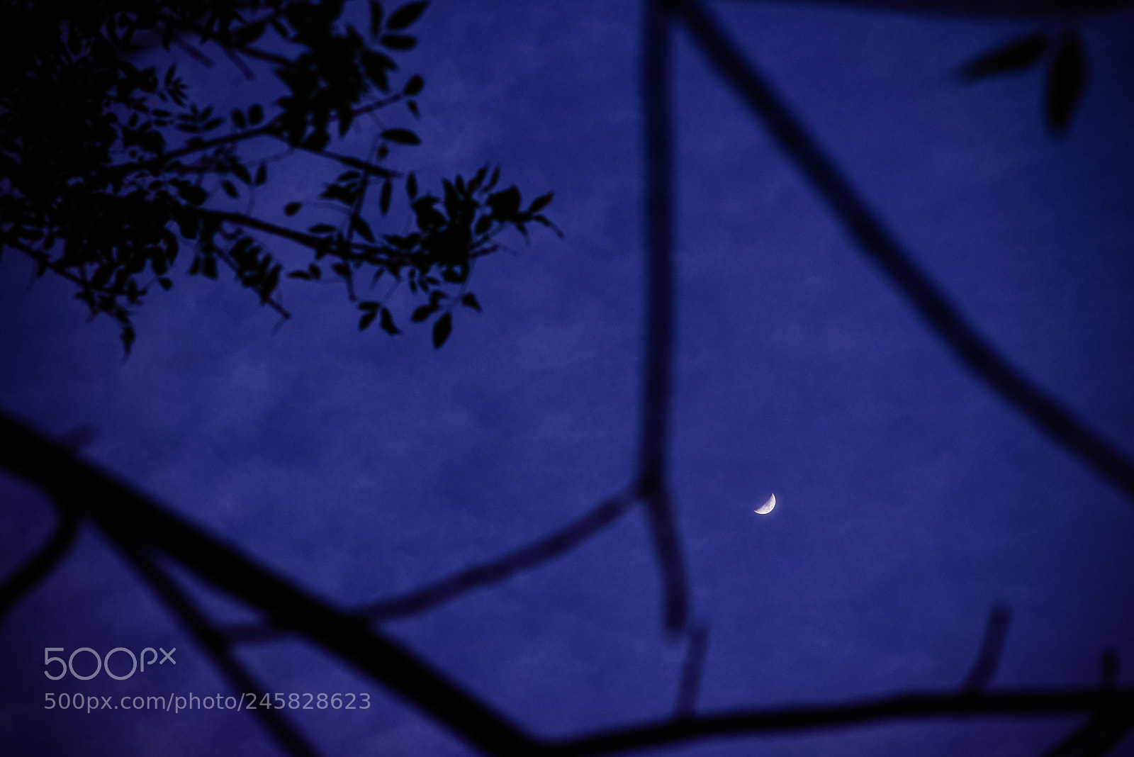 Nikon D800 sample photo. 24111935000.jpg photography