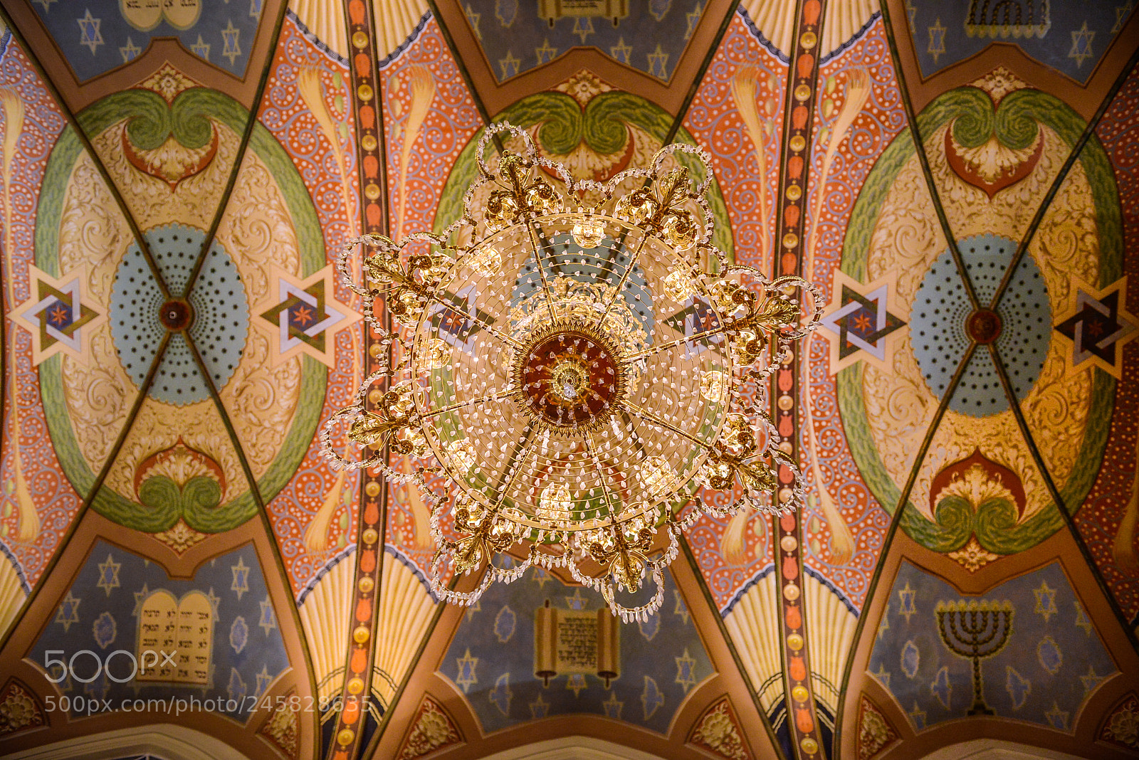Nikon D800 sample photo. 18472794939.jpg photography
