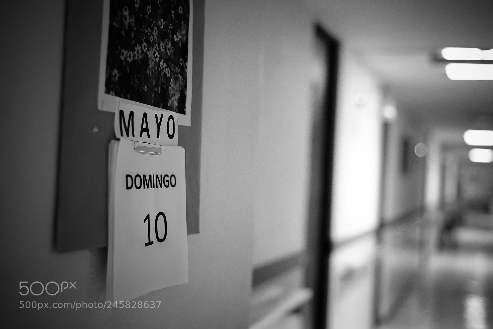 Nikon D800 sample photo. 17697333810.jpg photography