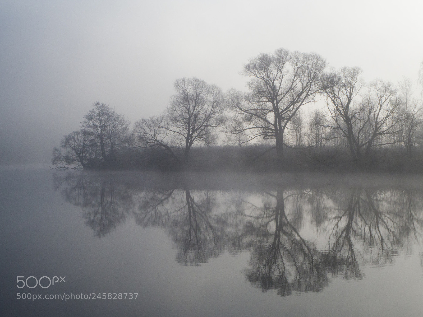 Olympus OM-D E-M10 II sample photo. Foggy reflection photography