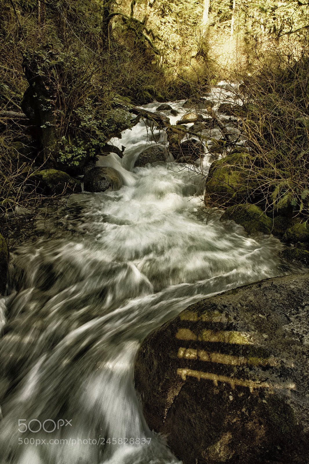 Canon EOS 50D sample photo. Light and water ii photography