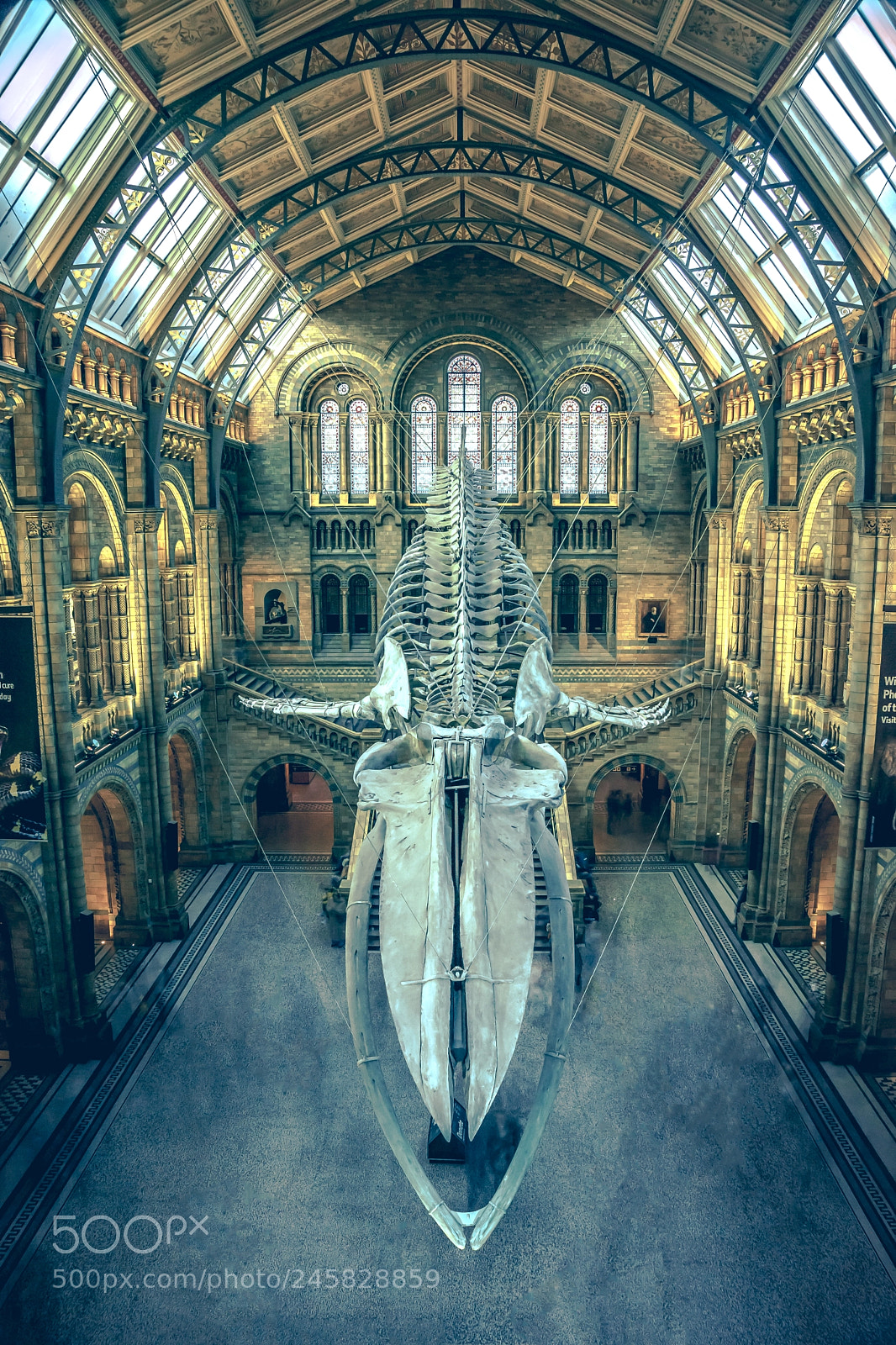 Sony SLT-A77 sample photo. The skeletal beast photography