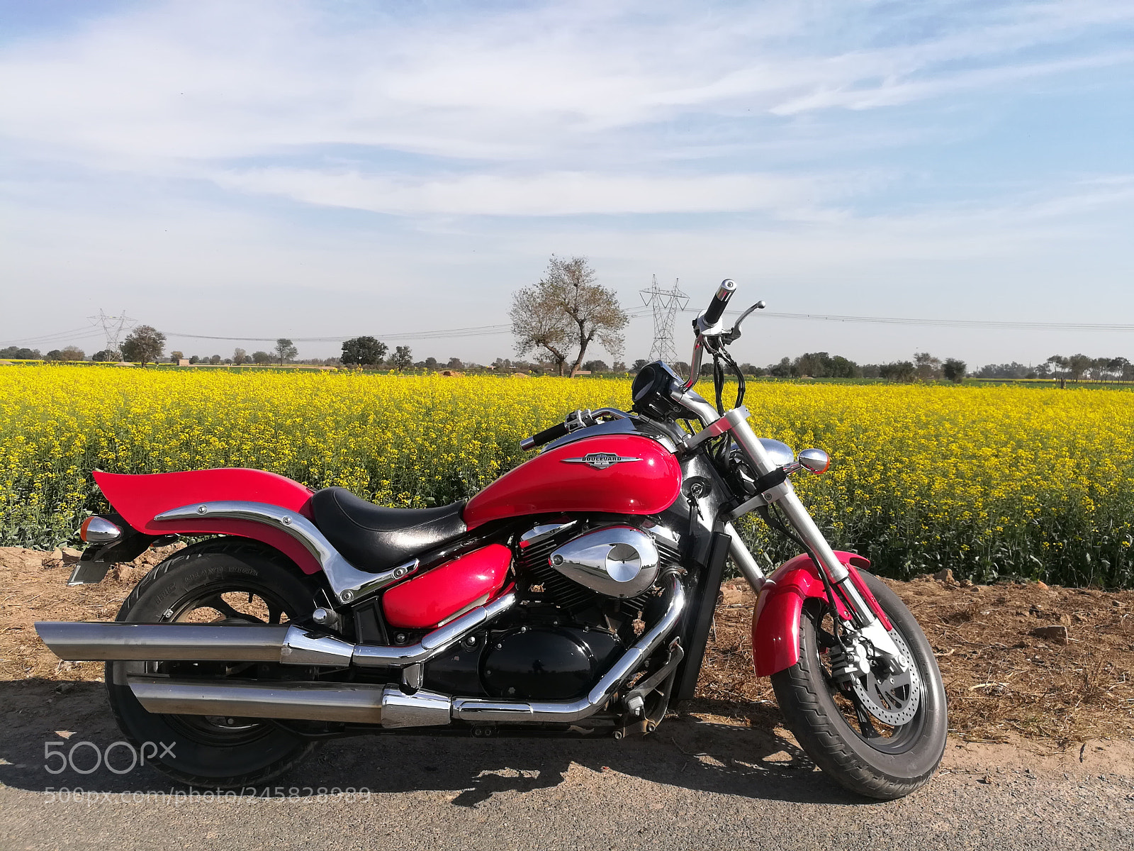 HUAWEI honor 6x sample photo. Suzuki boulevard with mustard photography