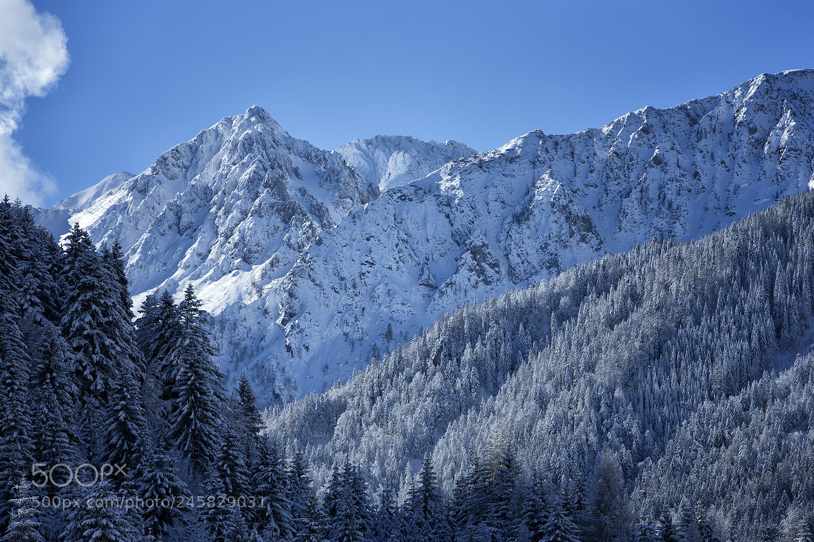Canon EOS-1D X sample photo. Winterwonderland photography