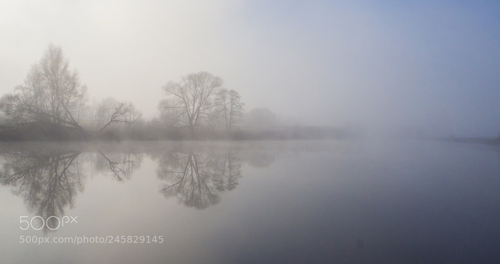 Olympus OM-D E-M10 II sample photo. Foggy reflection photography