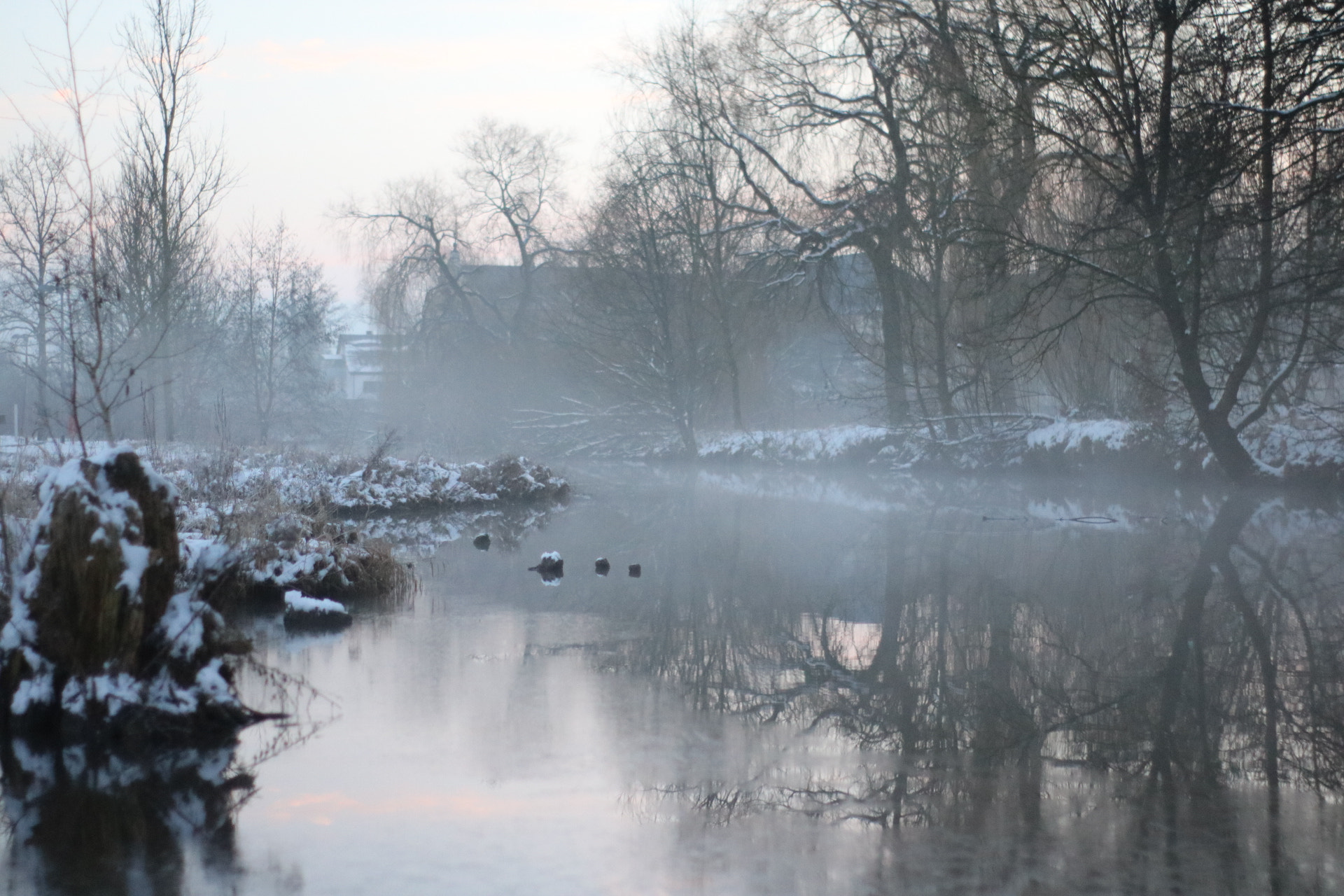 Canon 50mm sample photo. Fog igga photography