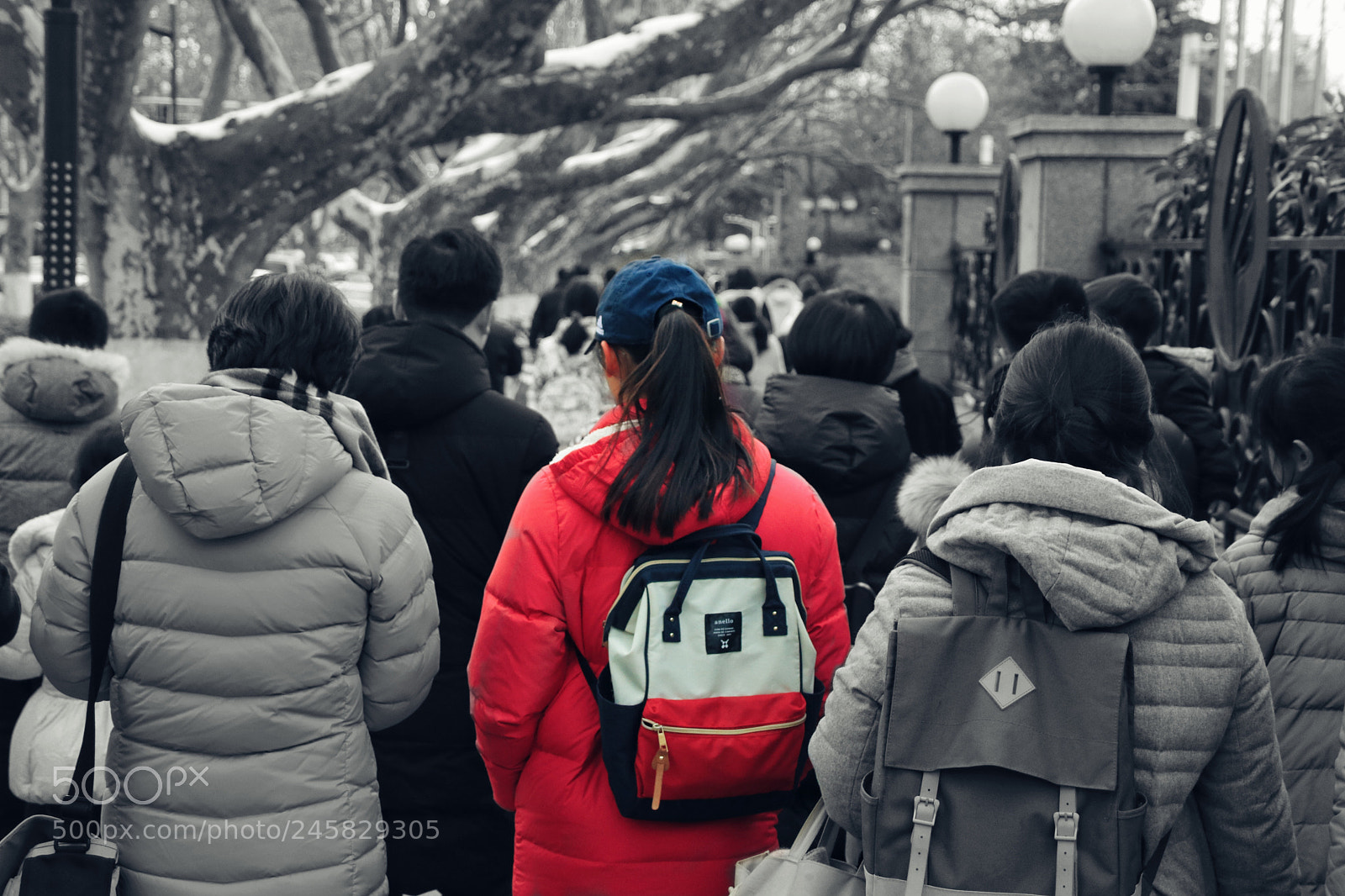 Canon EOS 760D (EOS Rebel T6s / EOS 8000D) sample photo. Untitled photography