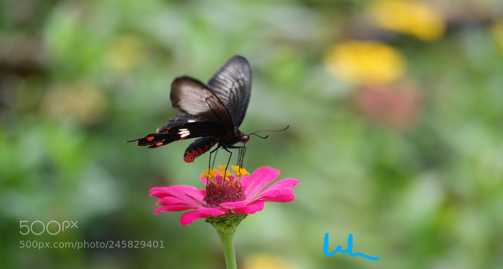 Samsung NX30 sample photo. Exciting.. photography