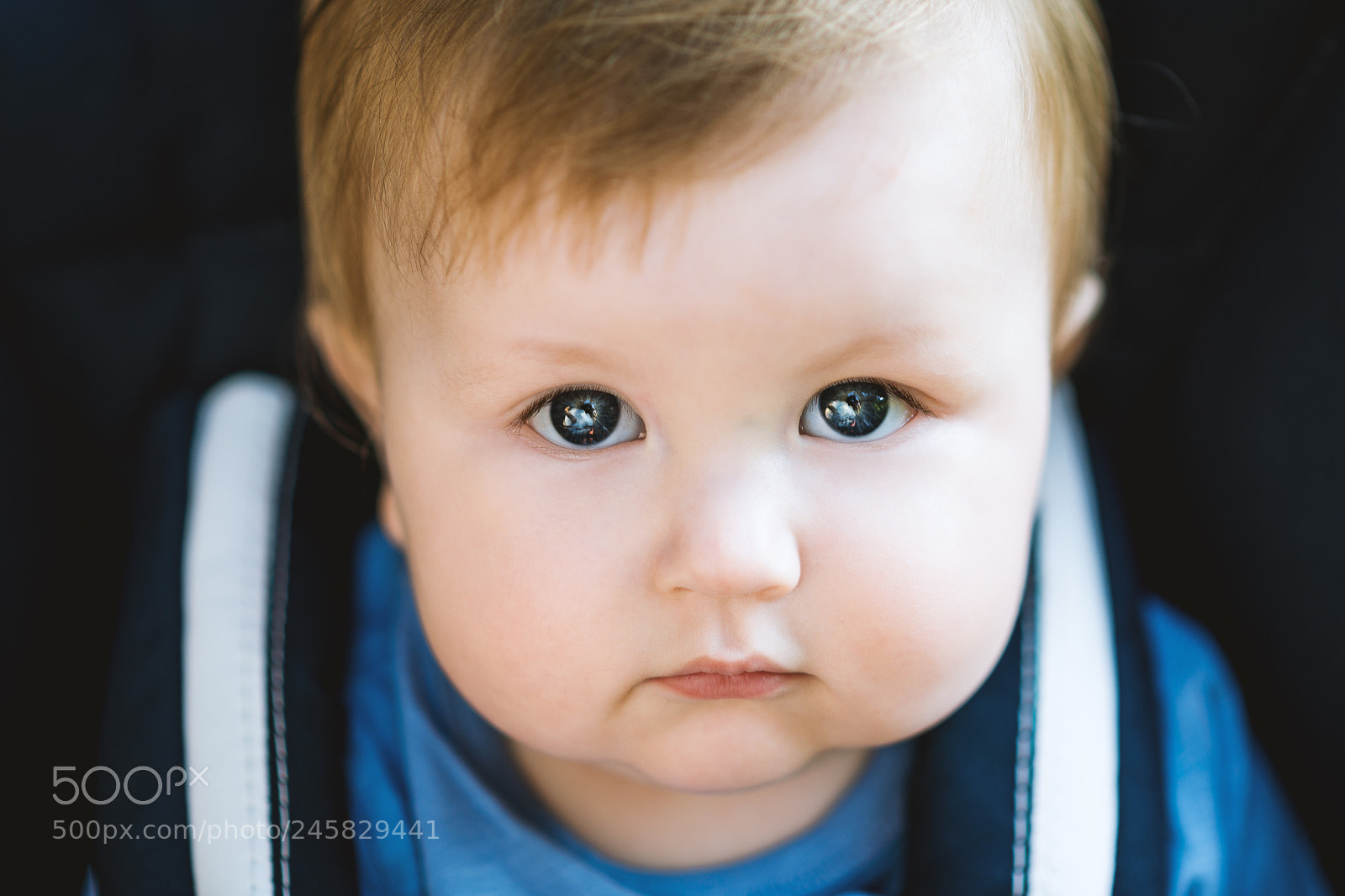 Nikon D800 sample photo. Lovely eyes photography