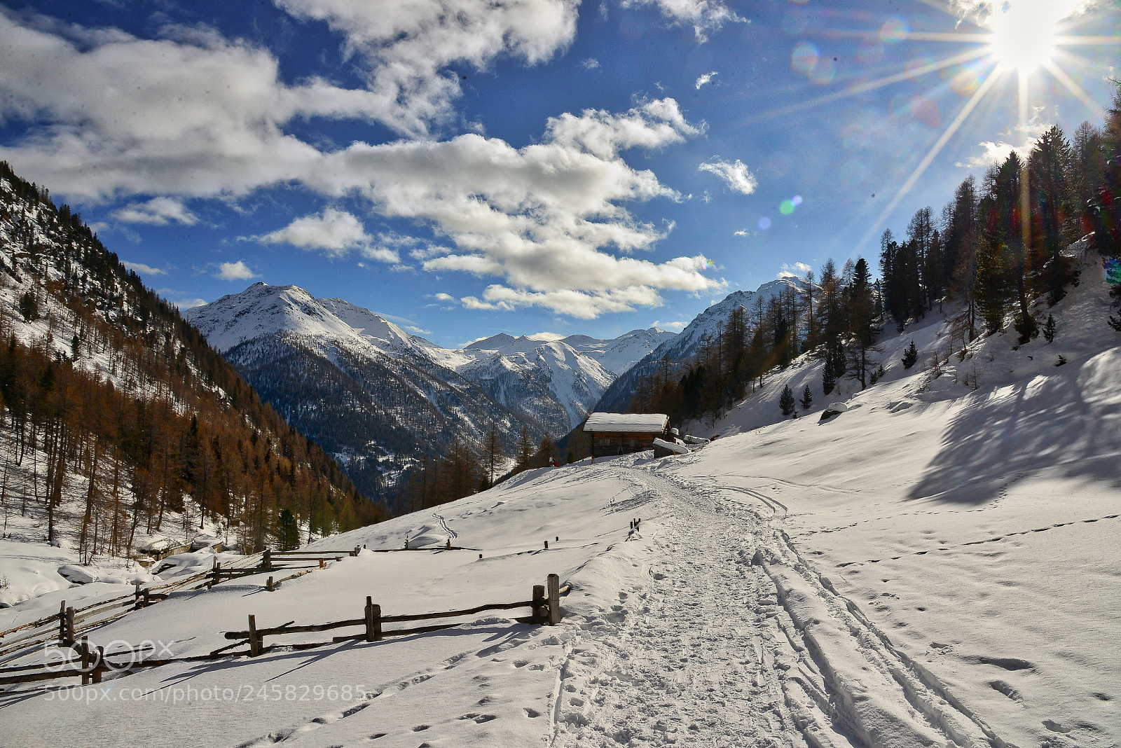 Nikon D610 sample photo. Flatschberg alm photography