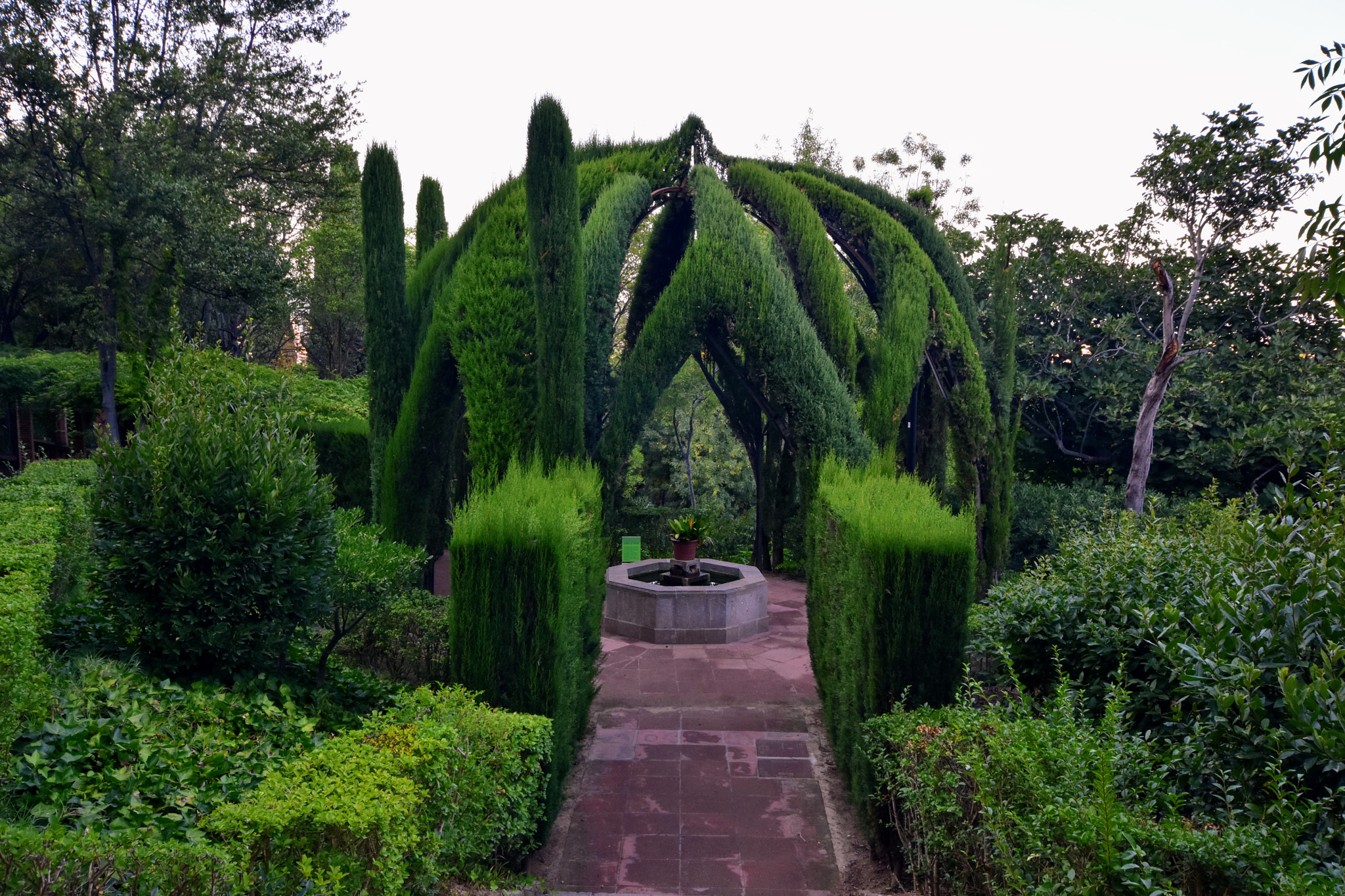 Nikon D7200 + Sigma 10-20mm F4-5.6 EX DC HSM sample photo. The magic garden photography