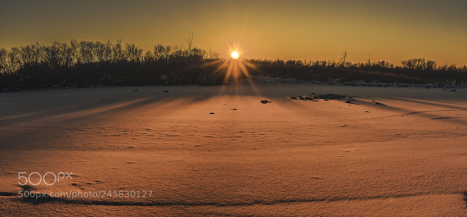 Sony a7R sample photo. Winter sunset. photography
