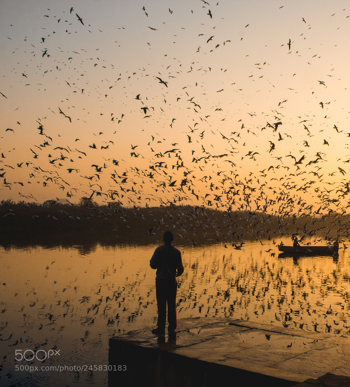Canon EOS 600D (Rebel EOS T3i / EOS Kiss X5) sample photo. Birds of yamuna photography