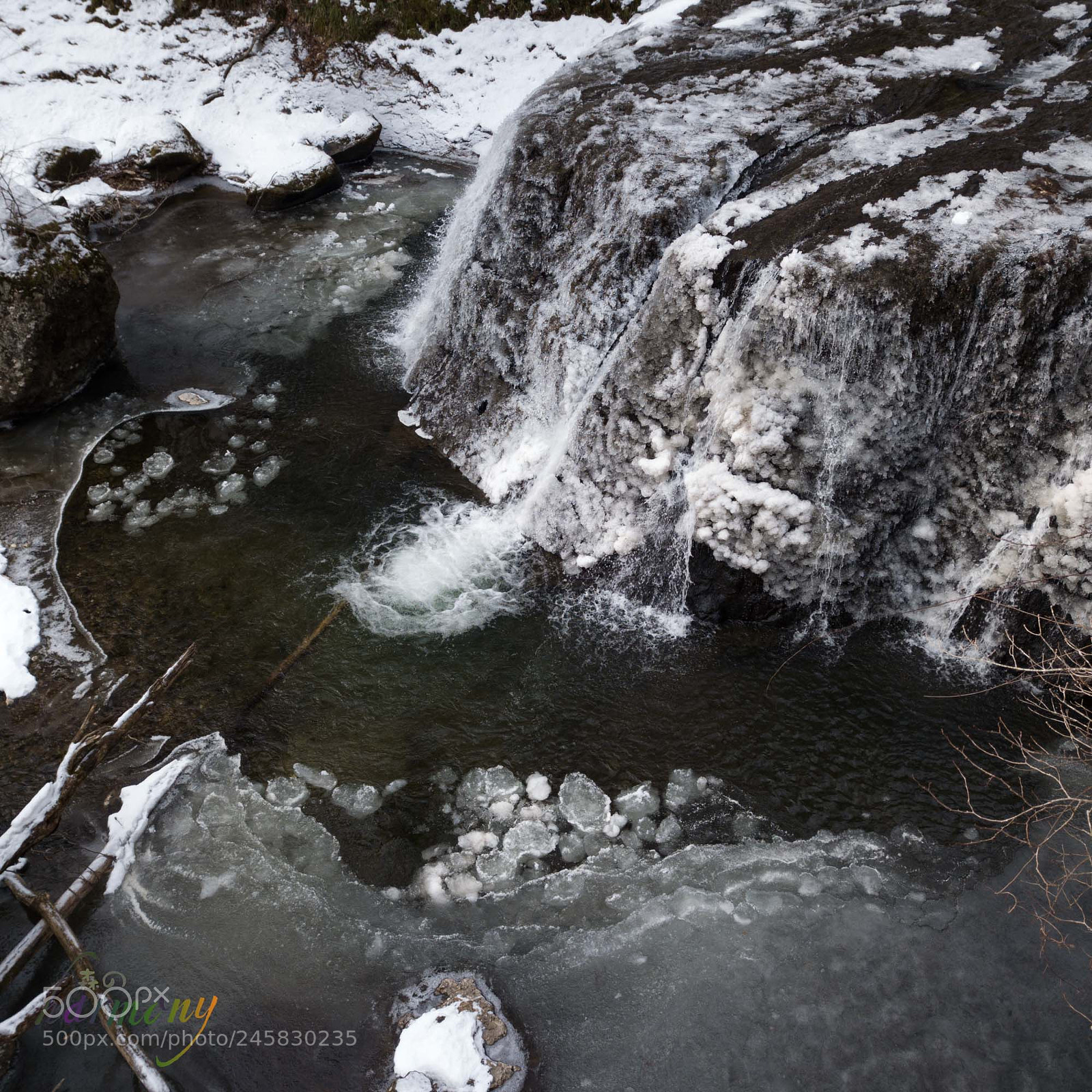DJI FC220 sample photo. One of fall's faces photography
