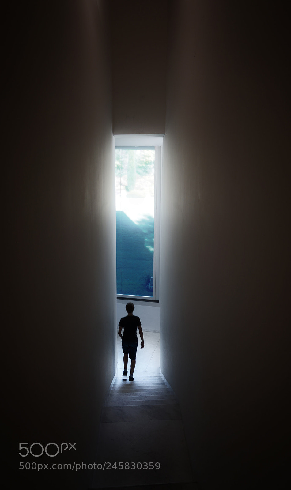 Sony a7 II sample photo. A light ahead photography