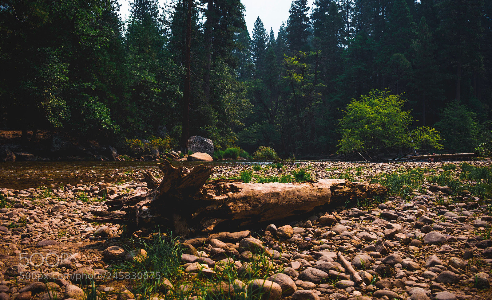 Nikon D3400 sample photo. Remember the fallen photography
