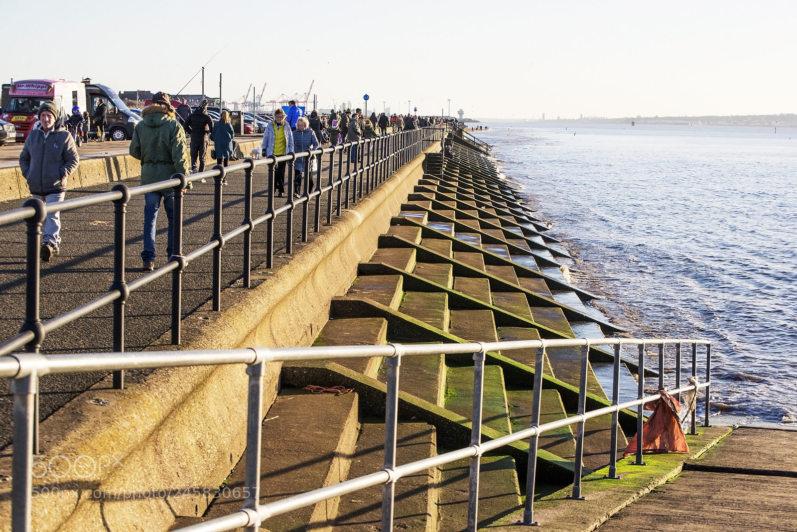 Nikon D600 sample photo. Promenading (2) photography