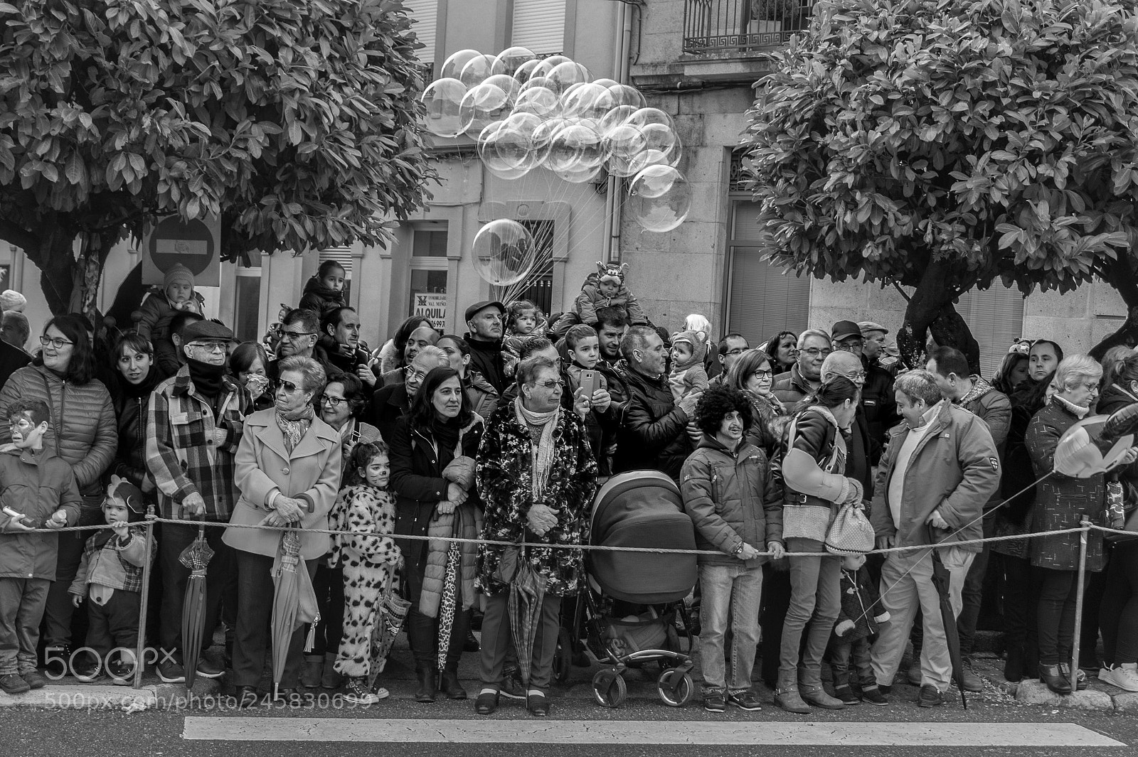 Sony SLT-A58 sample photo. Fortytwo #project365 balloon parade photography