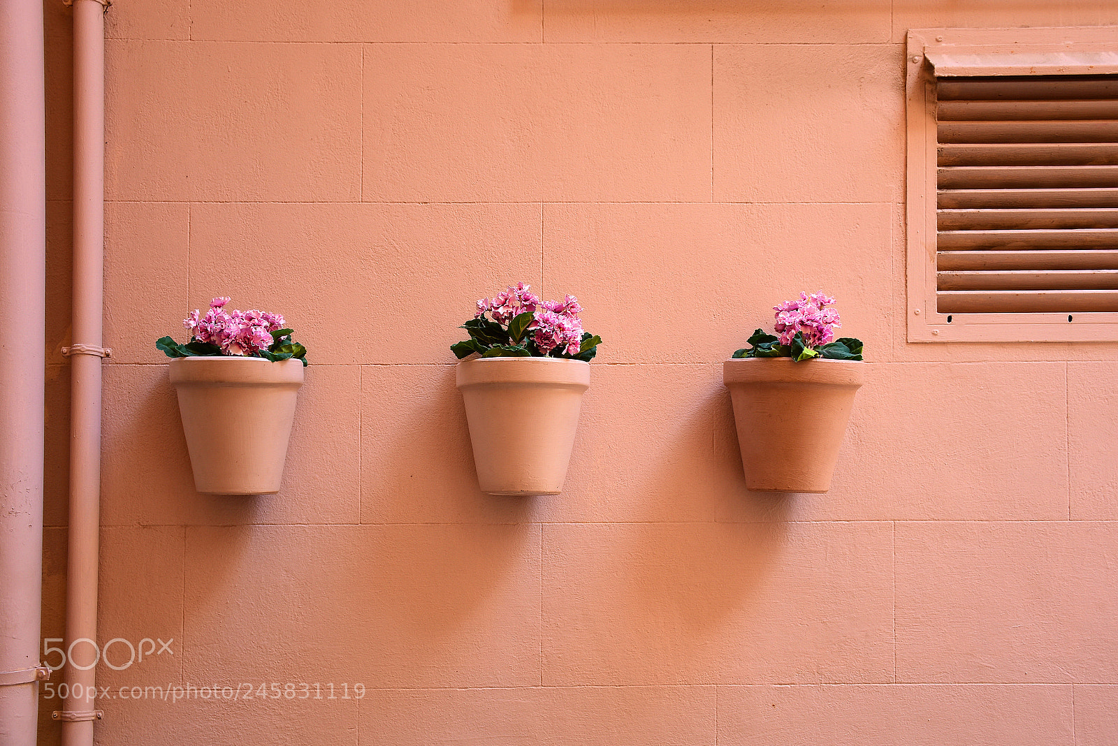 Nikon D7200 sample photo. Three flowerpots photography
