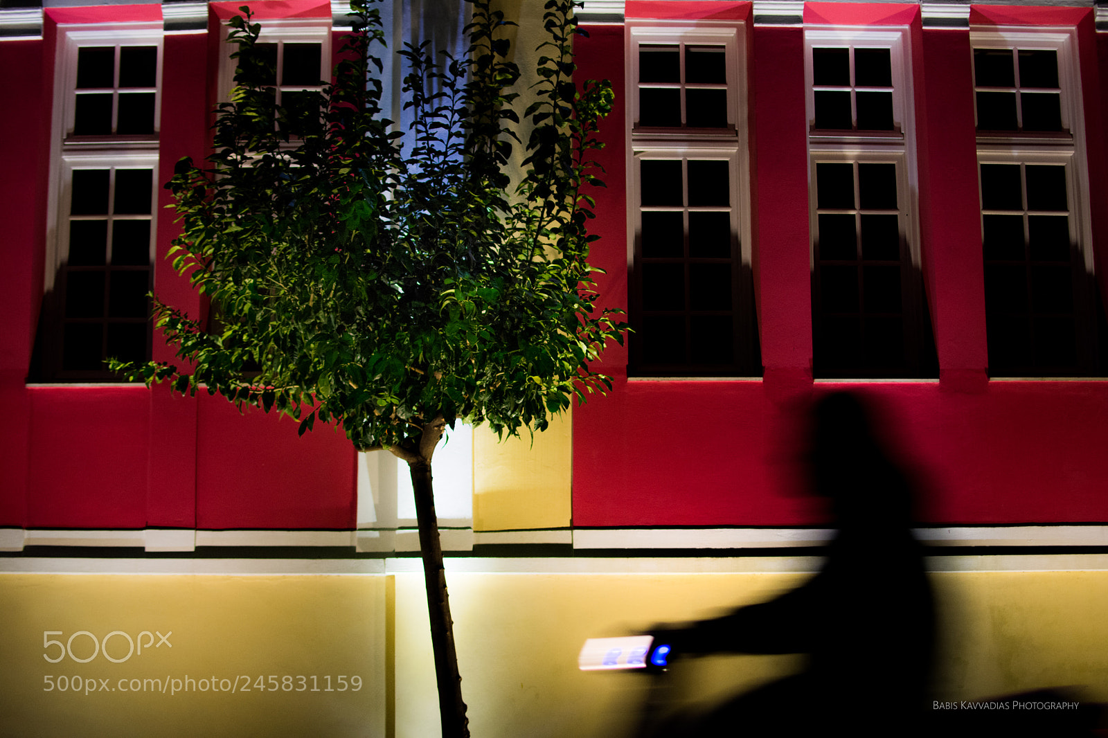 Nikon D7200 sample photo. Red, yellow, green and photography