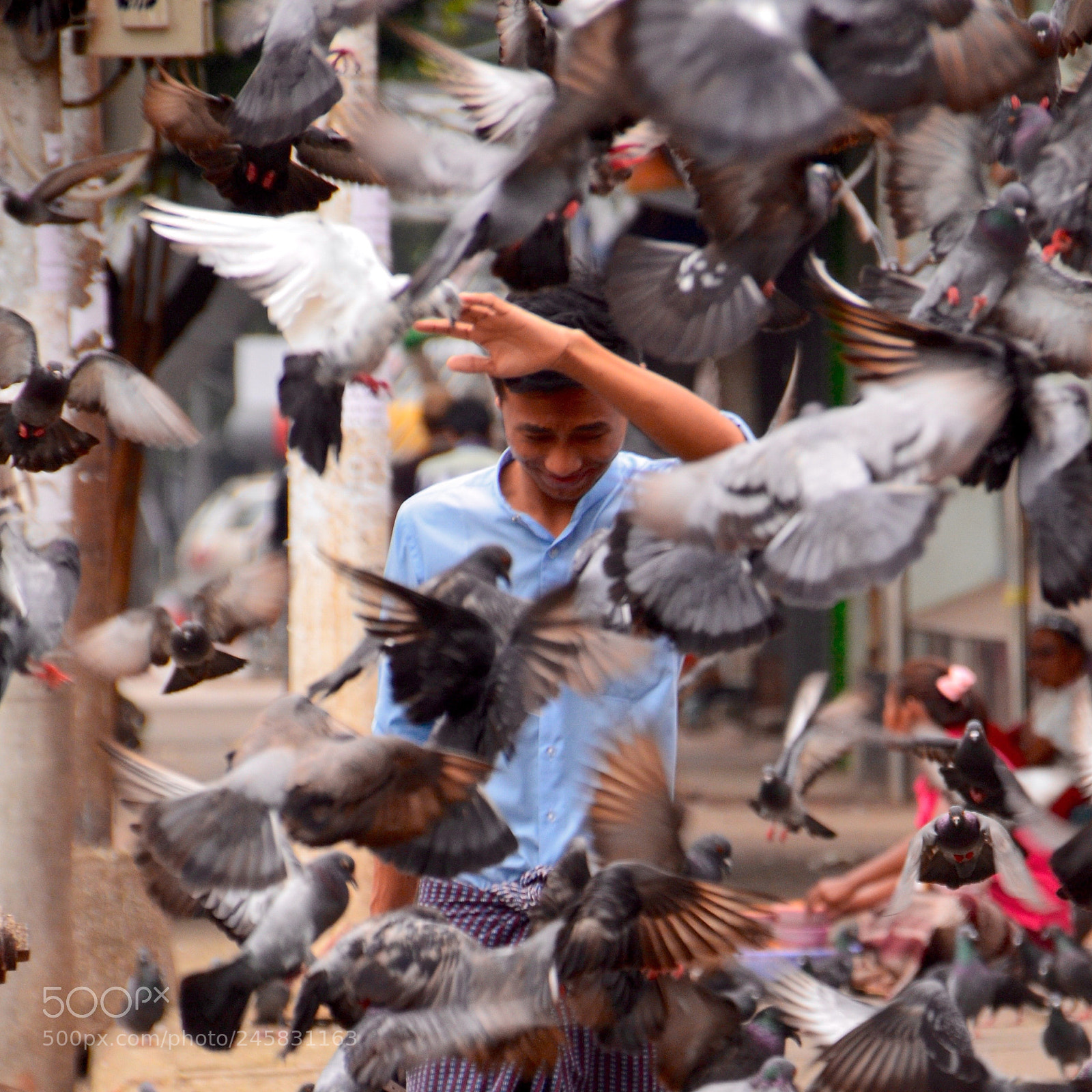 Nikon D5100 sample photo. Pigeon man photography
