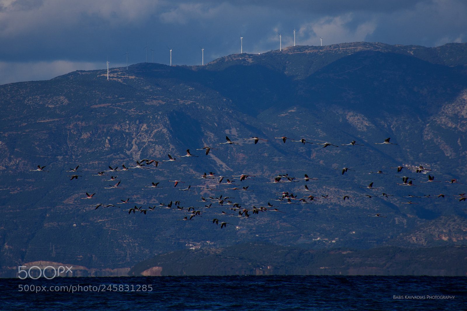 Nikon D7200 sample photo. Flamingos at alyki, egio photography