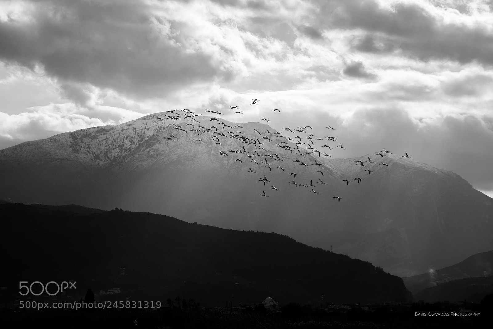 Nikon D7200 sample photo. Flamingos at alyki, egio photography