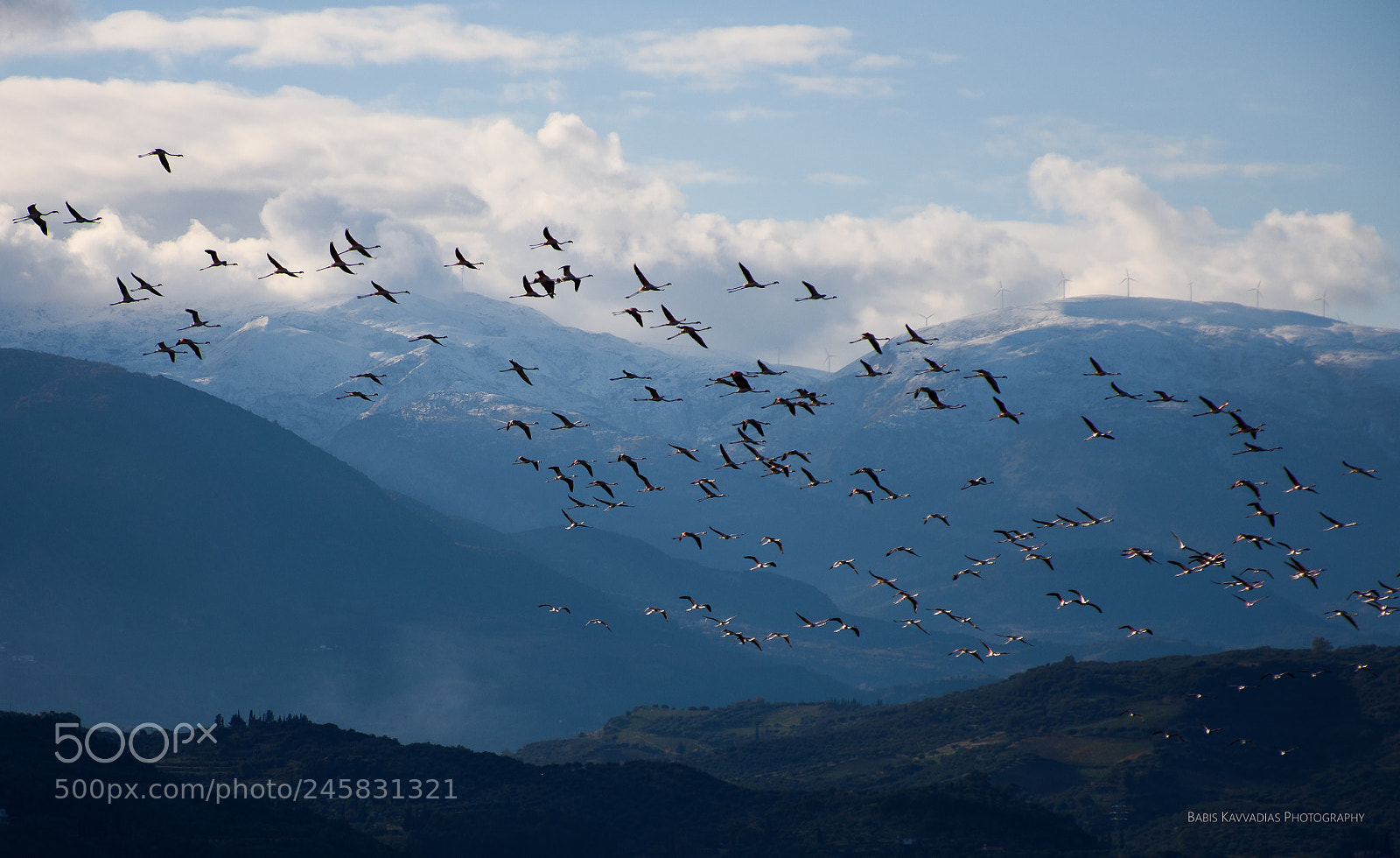 Nikon D7200 sample photo. Flamingos at alyki, egio photography