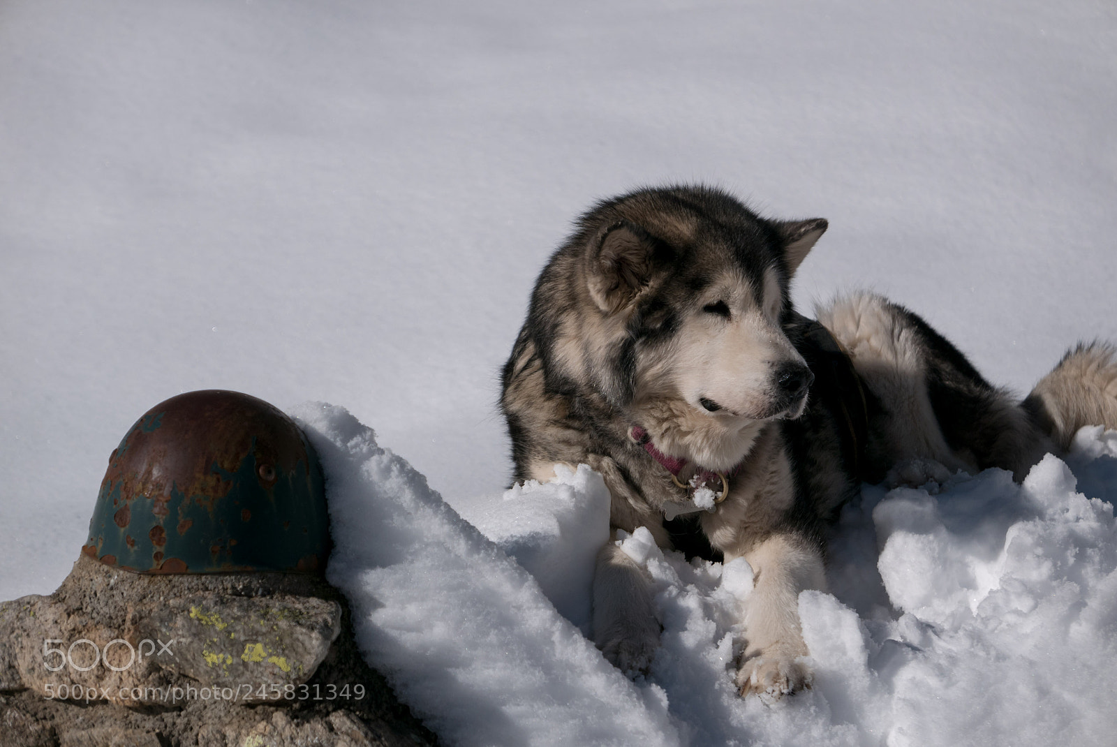 Panasonic Lumix DMC-LX100 sample photo. Fresh snow photography