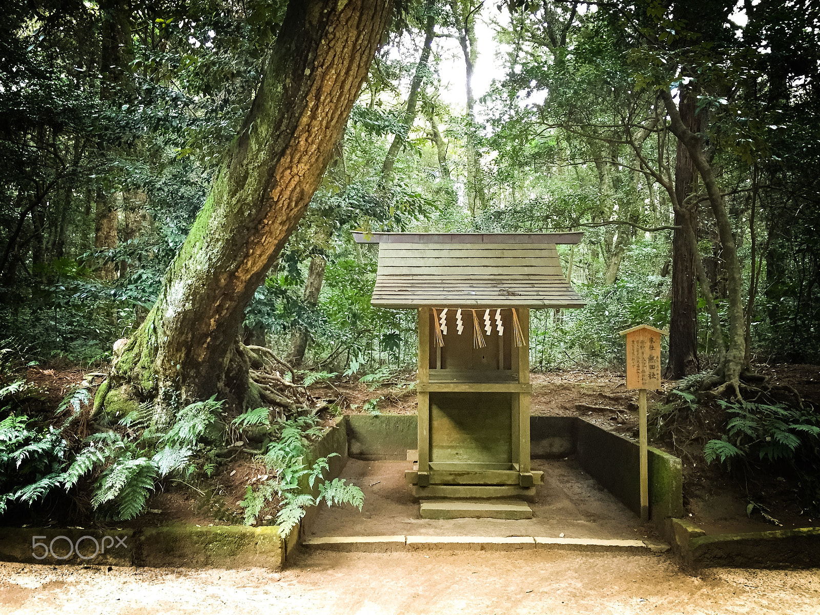 Apple iPhone 6 sample photo. Kashima shrine japan photography